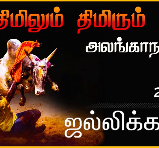 Alanganallur Jallikattu