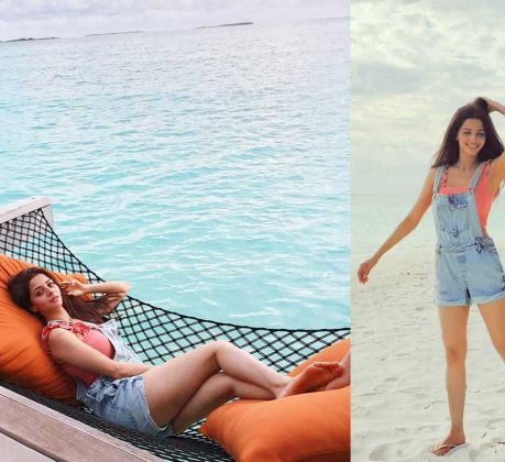 Vedhika Photos