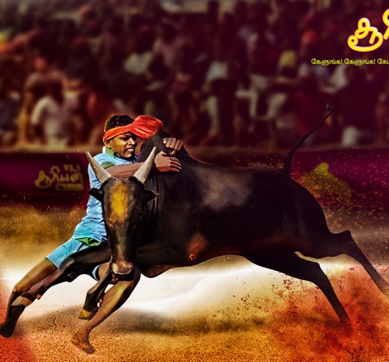 Jallikattu 2020