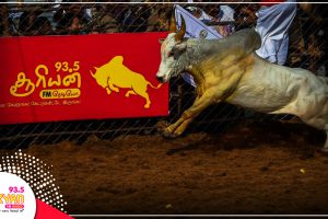 Jallikattu 2018