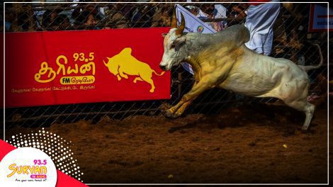 Jallikattu 2018