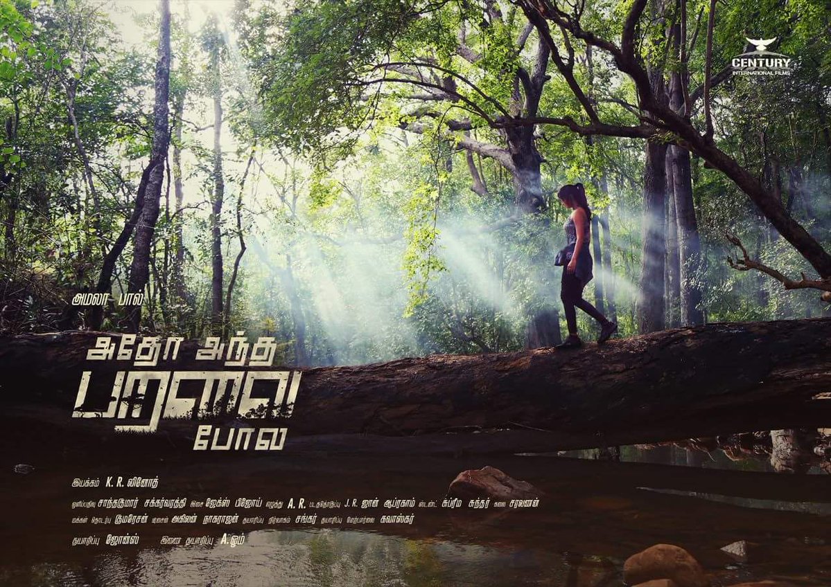 Adho Andha Paravai Pola third look 