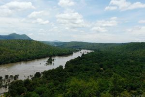 Cauvery river