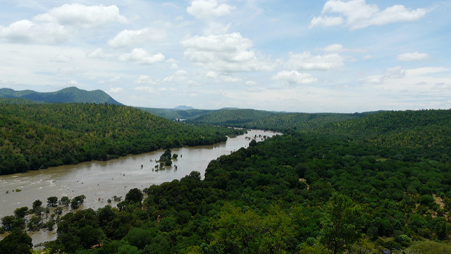 Cauvery river