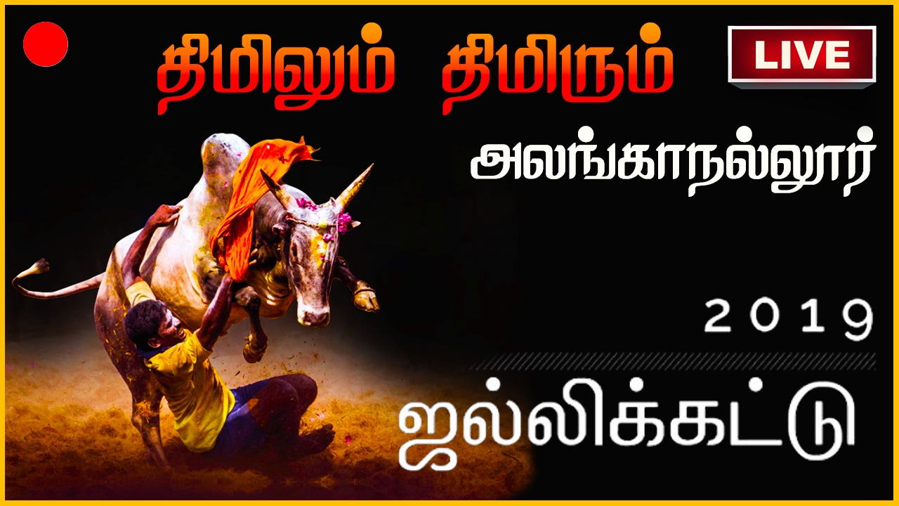 Alanganallur jallikattu live Suryan FM