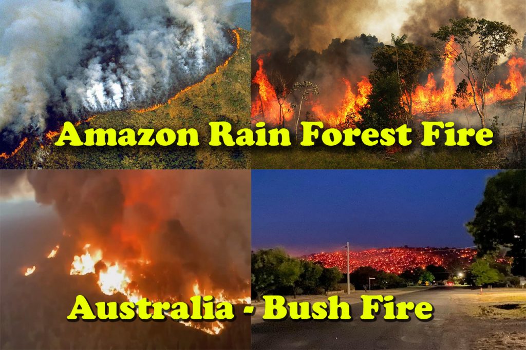 Amazon - Bush Fire