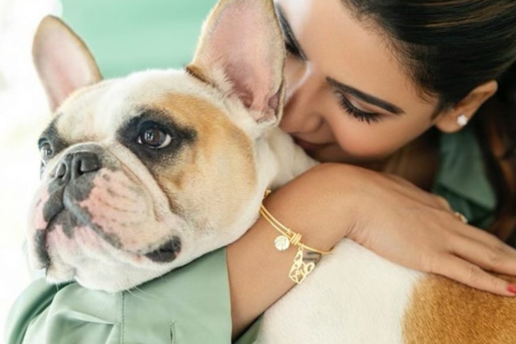 Celebrities and their adorable pets Suryan FM