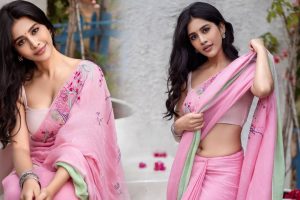 Nabha Natesh
