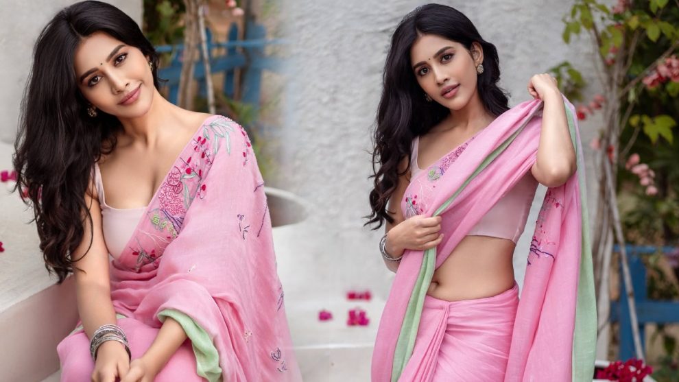 Nabha Natesh