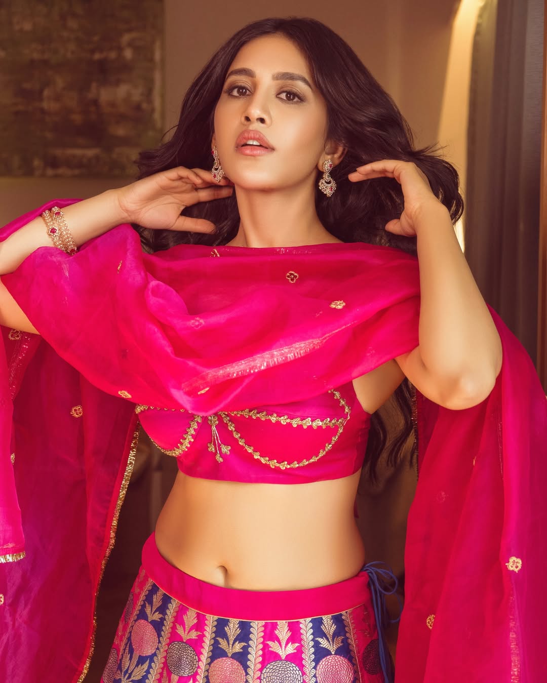 Nabha Natesh Stuns in Lehenga and set trends on the internet