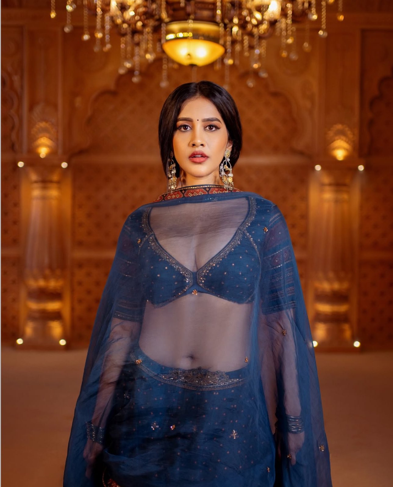 Nabha Natesh Stuns in Lehenga and set trends on the internet