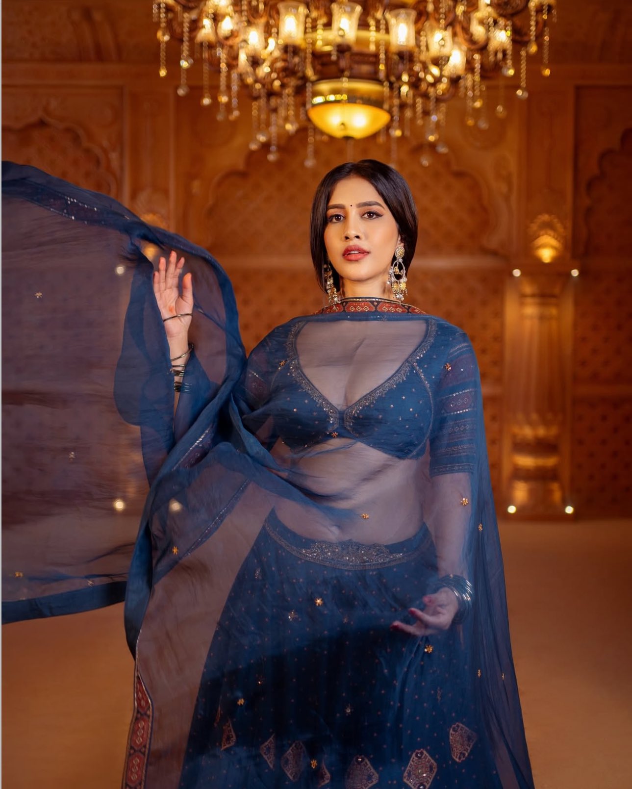 Nabha Natesh Stuns in Lehenga and set trends on the internet