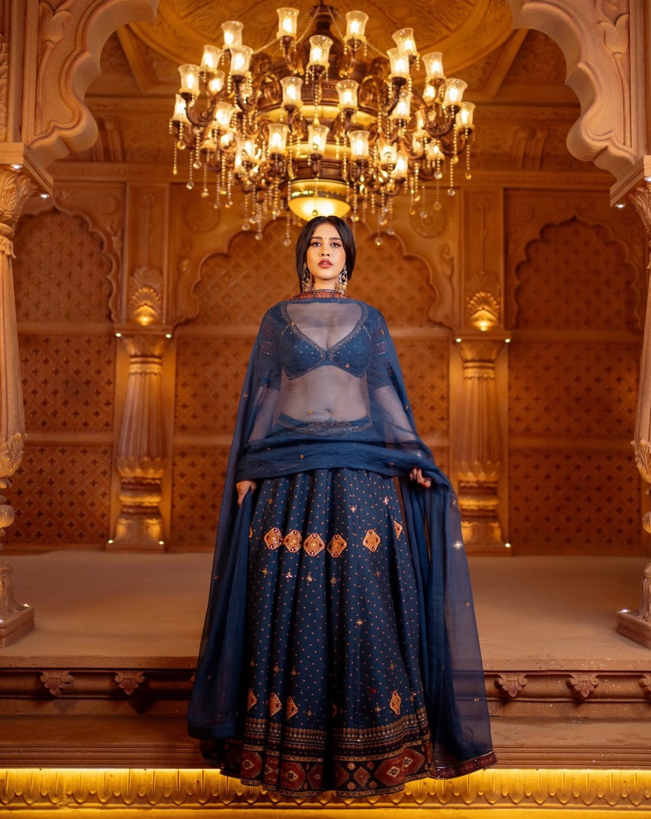 Nabha Natesh Stuns in Lehenga and set trends on the internet