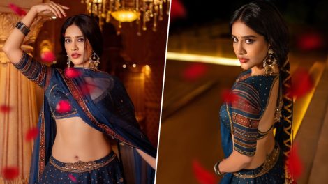 Nabha Natesh Stuns in Lehenga and set trends on the internet