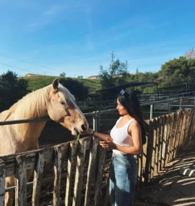 Ruhani Sharma Stylish and Glamorous Photos Take Over the Internet