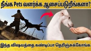 10 Steps for Pet Lovers