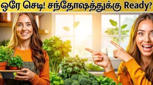10 herbs that you can grow in your kitchen garden