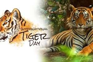 சர்வதேச புலிகள் தின ஸ்பெஷல்