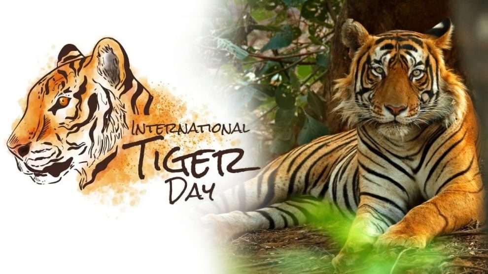 சர்வதேச புலிகள் தின ஸ்பெஷல்