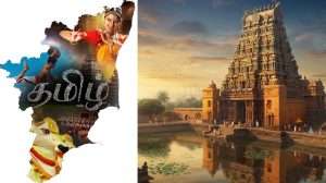 தமிழர்களின் தமிழ் | Depth of Tamil Region Language