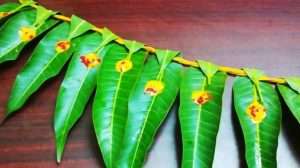 The auspicious Maavilai Thorana