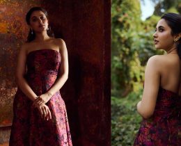 Priyanka Mohan Stunning New Avatar