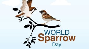 World Sparrow Day 2026