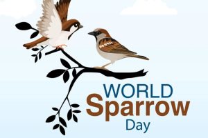 World Sparrow Day 2026