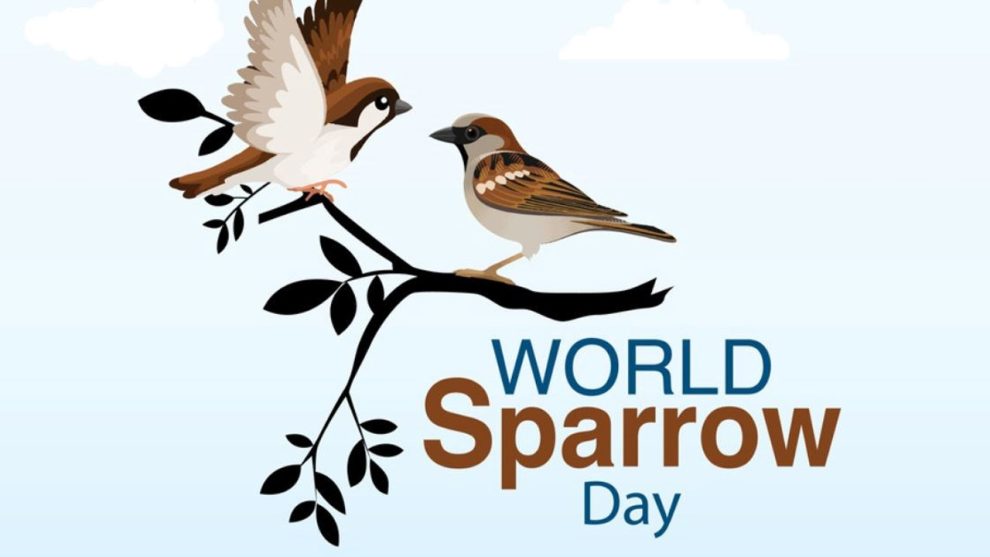 World Sparrow Day 2026