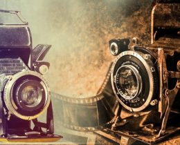 Camera Day