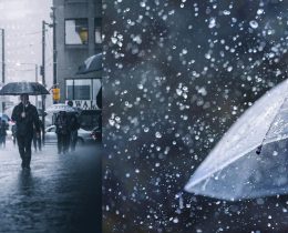 உலக மழை தினம் | World Rain Day