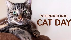 Cat Day